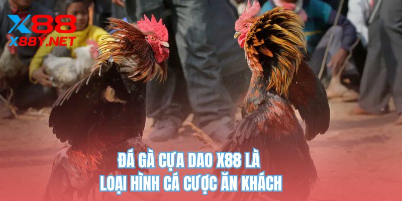 Đá gà cựa dao X88 là loại hình cá cược ăn khách